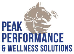 Peak Performance & Wellness Solutions, LLC*